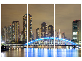 3-piece-canvas-print-skyline-tokyo-at-night