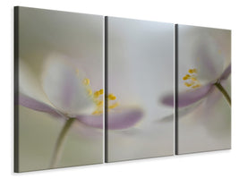 3-piece-canvas-print-soft-whispering