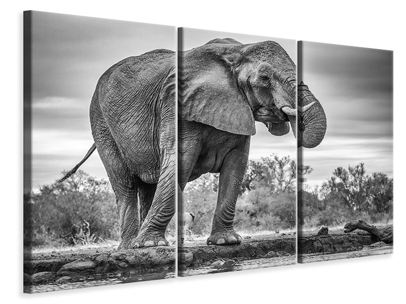 3-piece-canvas-print-standing-proud