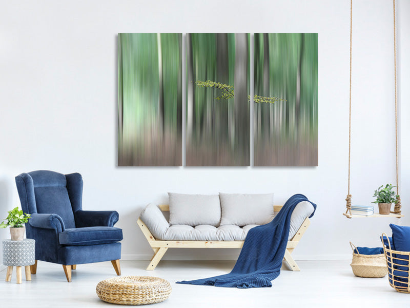 3-piece-canvas-print-summermorning