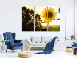 3-piece-canvas-print-sunflower-in-the-sunrise