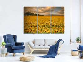 3-piece-canvas-print-sunflowers