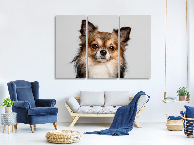 3-piece-canvas-print-sweet-chihuahua