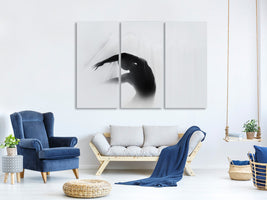 3-piece-canvas-print-the-dance-of-silence