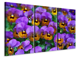 3-piece-canvas-print-the-pansies