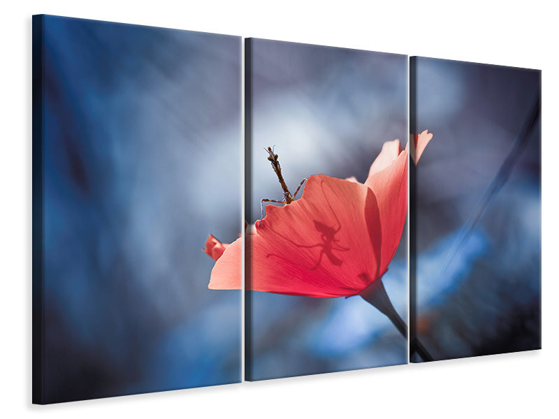 3-piece-canvas-print-the-poppy-master