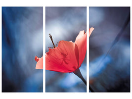 3-piece-canvas-print-the-poppy-master