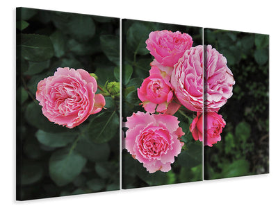 3-piece-canvas-print-the-wild-roses-in-pink