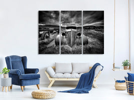 3-piece-canvas-print-too-old-to-drive