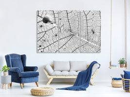 3-piece-canvas-print-transparences