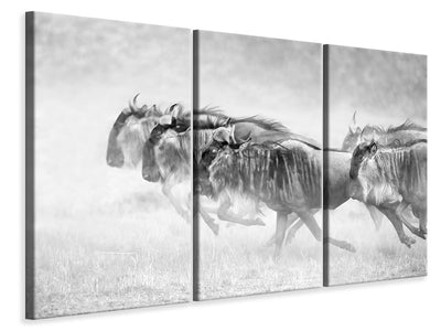 3-piece-canvas-print-unstopable