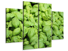 4-piece-canvas-print-all-basil