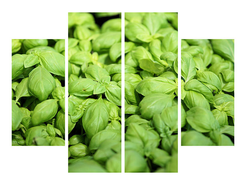 4-piece-canvas-print-all-basil