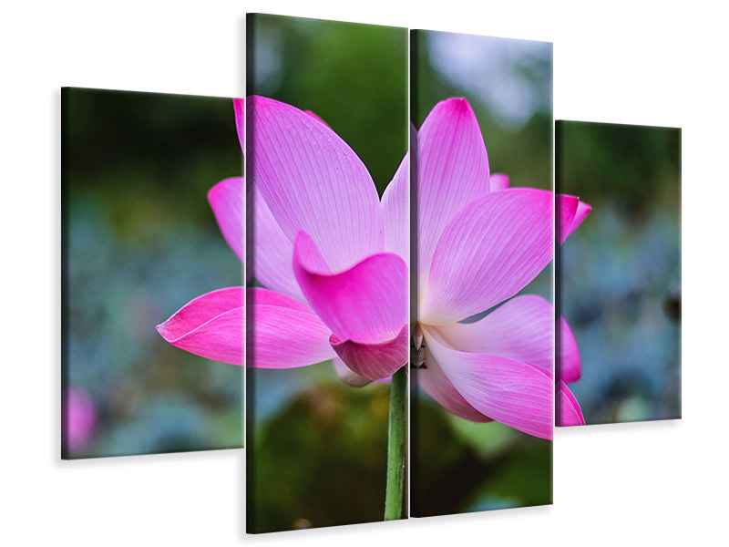 4-piece-canvas-print-beautiful-lotus