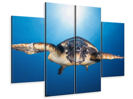 4-piece-canvas-print-face-to-face-with-a-hawksbill-sea-turtle