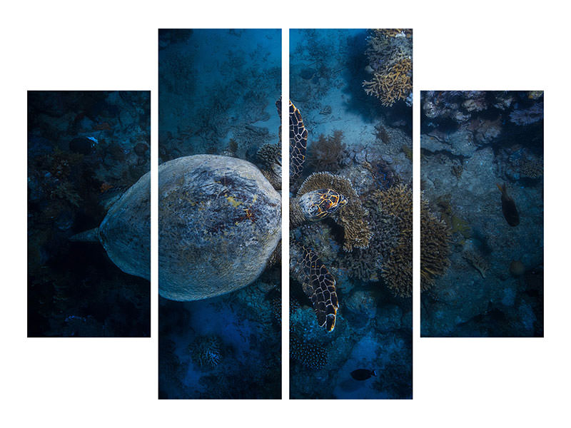 4-piece-canvas-print-hawksbill-sea-turtle-ii