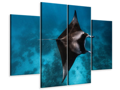 4-piece-canvas-print-manta-fly