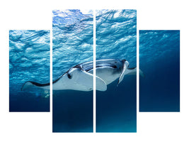 4-piece-canvas-print-manta-ray