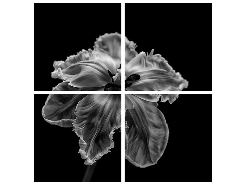 4-piece-canvas-print-parrot-tulip