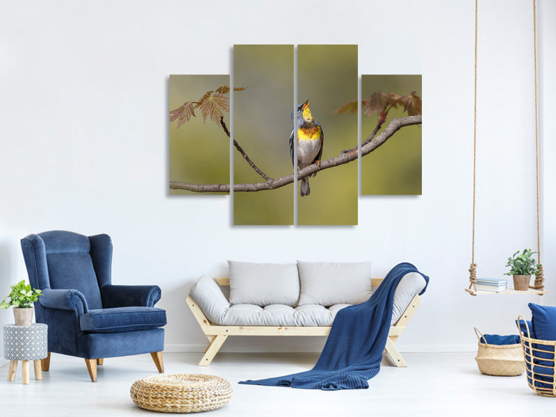 4-piece-canvas-print-parula-on-stage
