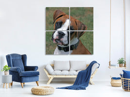 4-piece-canvas-print-play-with-me