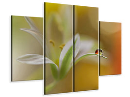 4-piece-canvas-print-sound-of-colors