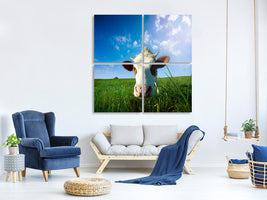 4-piece-canvas-print-the-cow