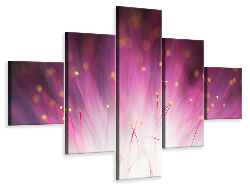 5-piece-canvas-print-elfin