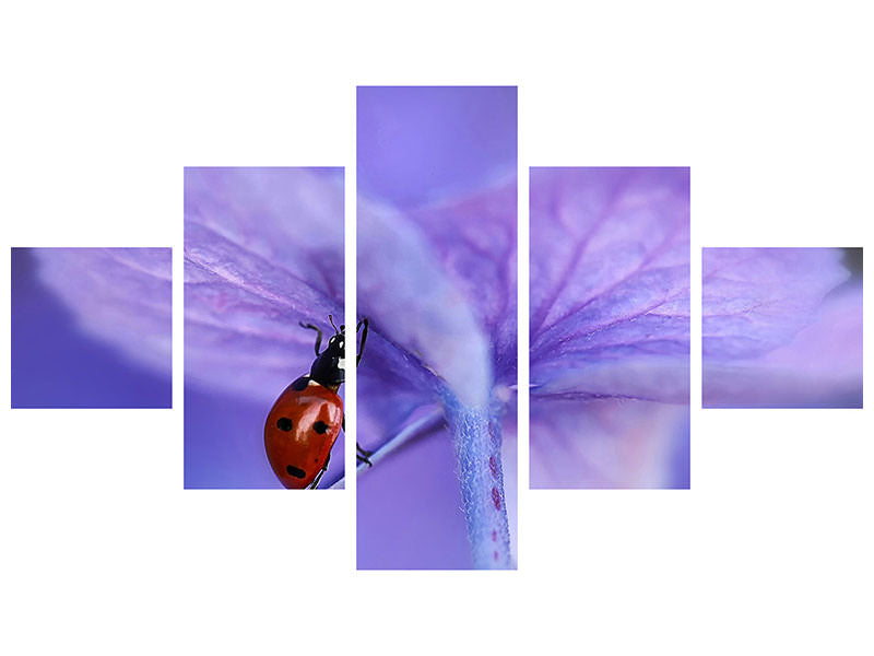 5-piece-canvas-print-ladybird-on-purple-hydrangea