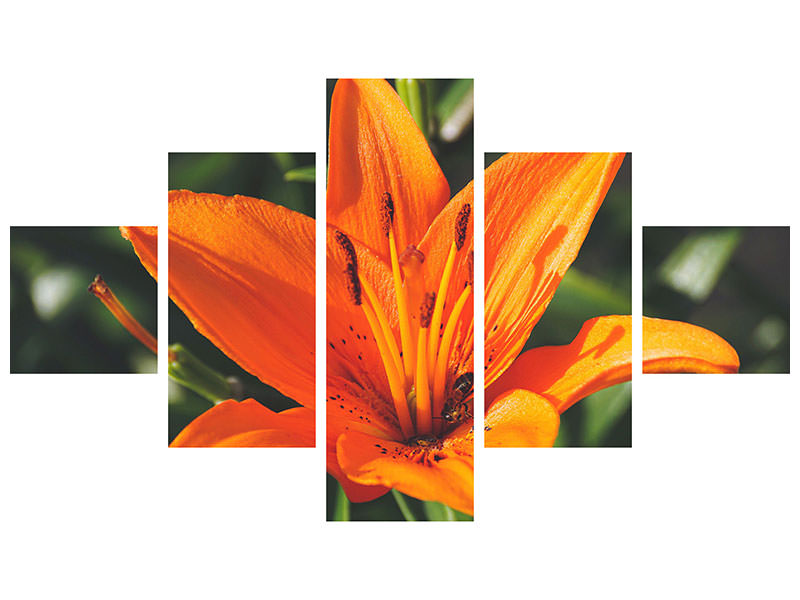 5-piece-canvas-print-lilies-blossom-in-orange-xl