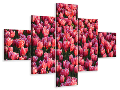 5-piece-canvas-print-lush-tulip-field