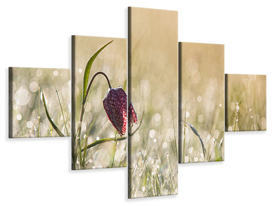 5-piece-canvas-print-morningdew