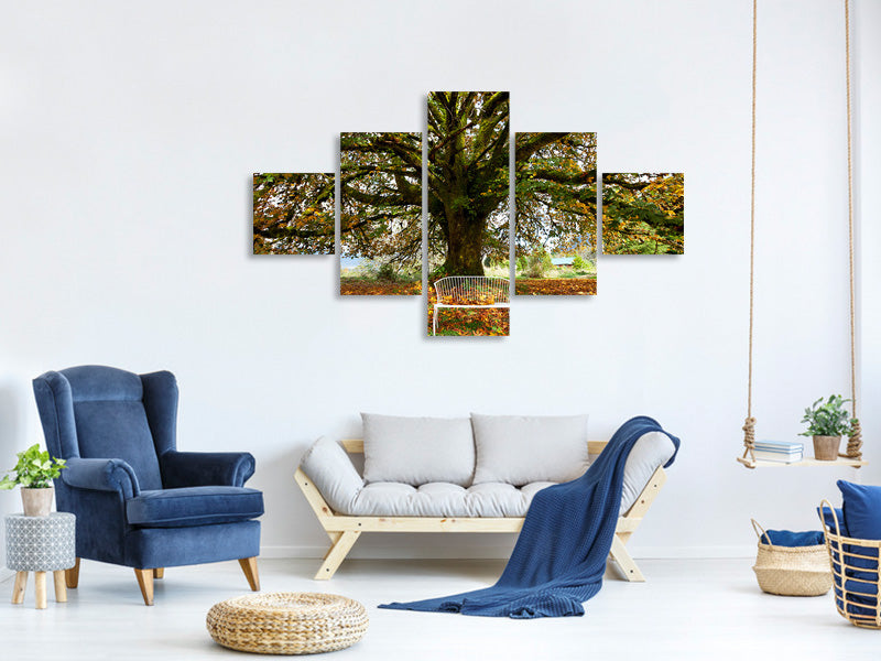 5-piece-canvas-print-my-favorite-tree