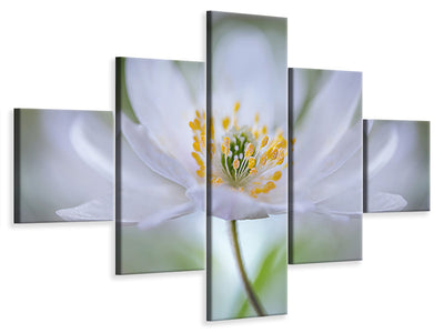 5-piece-canvas-print-nemorosa-nirvana