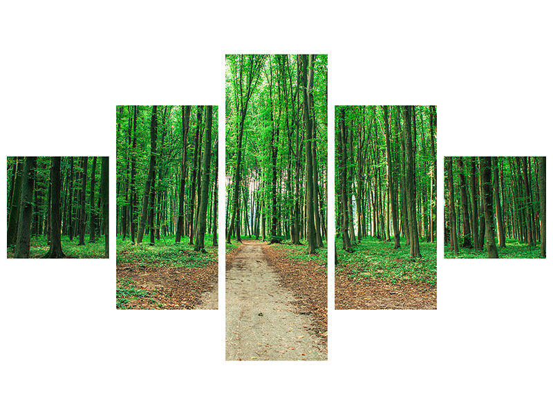 5-piece-canvas-print-pine-forests