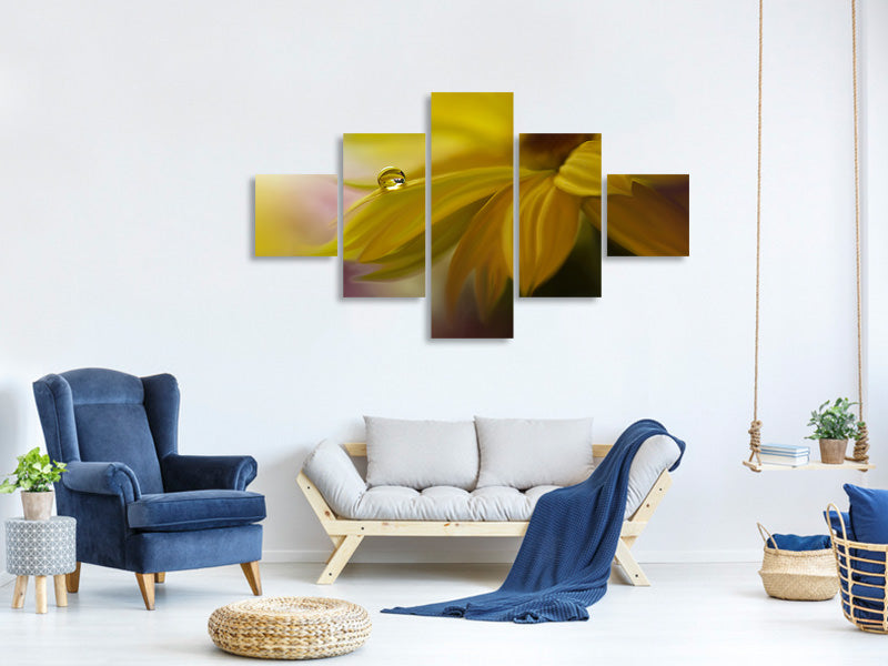 5-piece-canvas-print-sunbeam