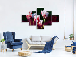 5-piece-canvas-print-the-beauty-of-the-tulips