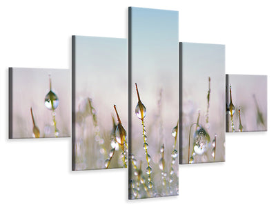 5-piece-canvas-print-the-dew-drops