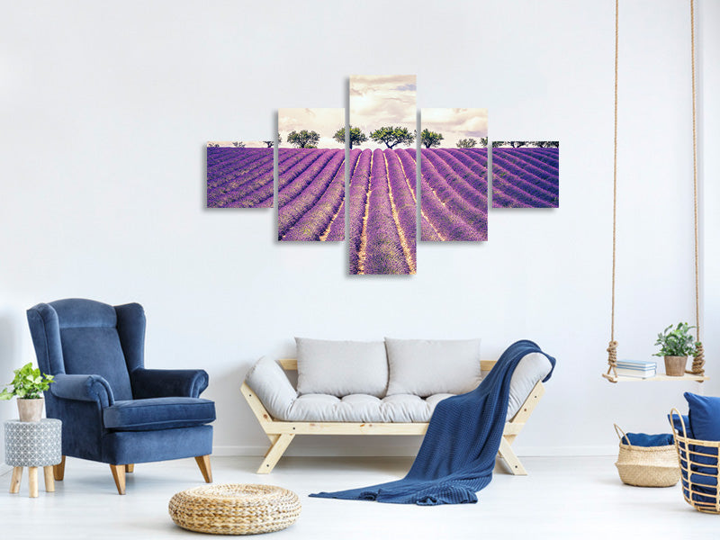 5-piece-canvas-print-the-lavender-field-ii