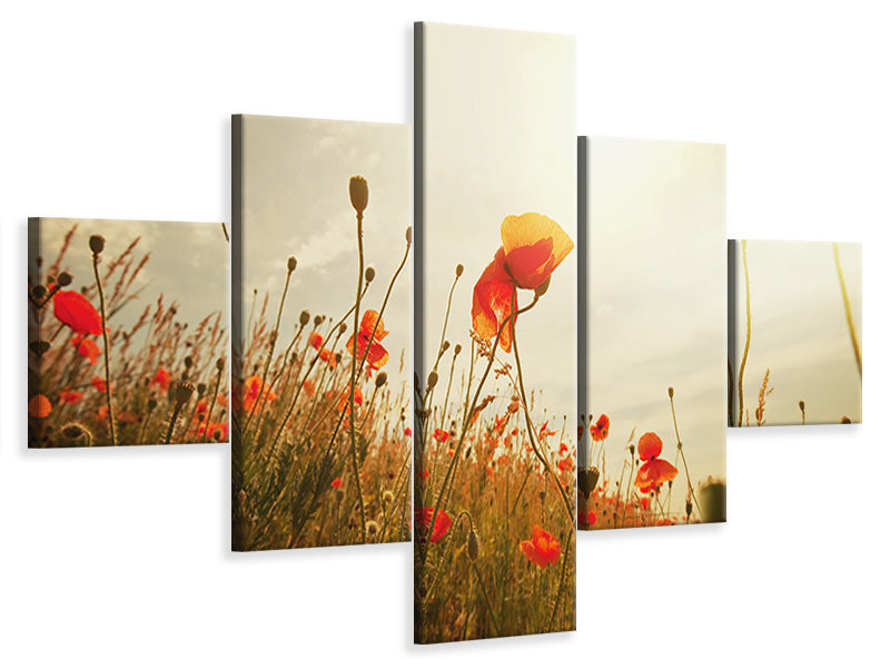 5-piece-canvas-print-the-poppy-field-at-sunrise