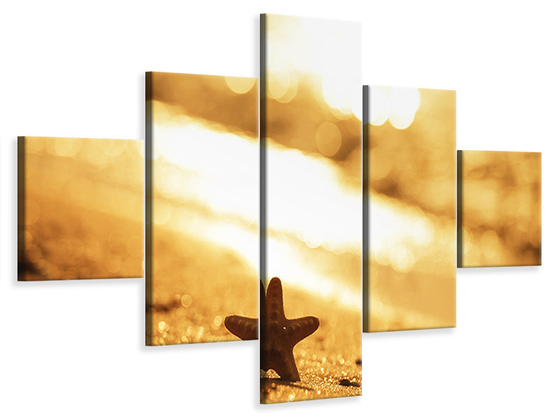 5-piece-canvas-print-the-starfish