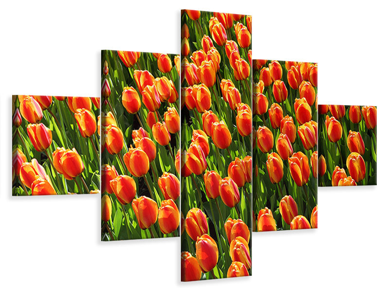 5-piece-canvas-print-tulip-field-in-orange