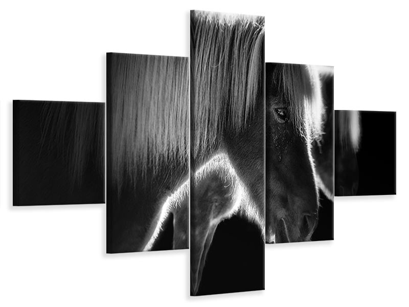 5-piece-canvas-print-two-beautiful-horses