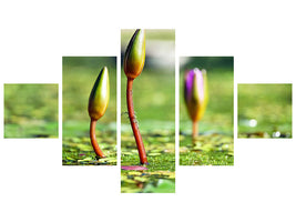 5-piece-canvas-print-water-lilies-in-xl