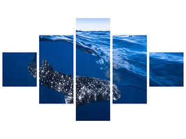 5-piece-canvas-print-whale-shark-on-split-level