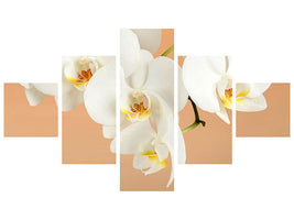 5-piece-canvas-print-white-orchid-flowers