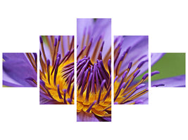 5-piece-canvas-print-xxl-water-lily-in-purple