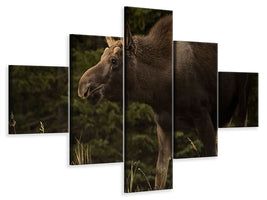 5-piece-canvas-print-young-moose-on-the-loose