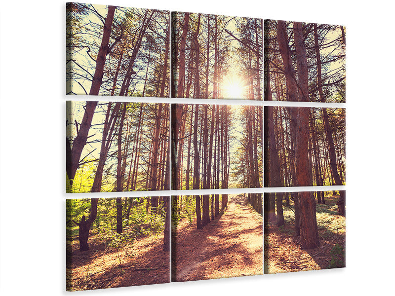 9-piece-canvas-print-light-at-the-end-of-the-forest-path