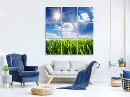 9-piece-canvas-print-spring-grass